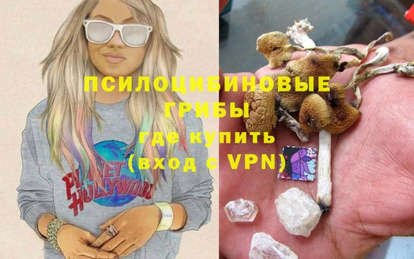 MDMA Premium VHQ Белокуриха